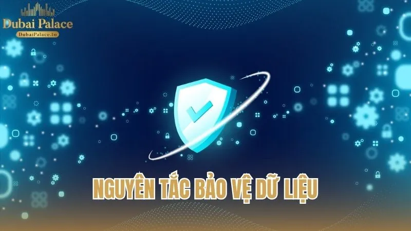 Các nguyên tắc bảo vệ dữ liệu theo chính sách bảo mật