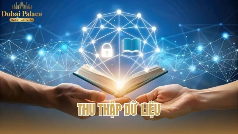 Quy trình thu thập dữ liệu theo chính sách bảo mật của Dubai Palace