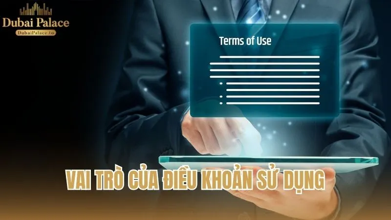 Vai trò của điều khoản sử dụng trong hệ thống vận hành